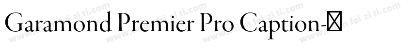 Garamond Premier Pro Caption字体转换